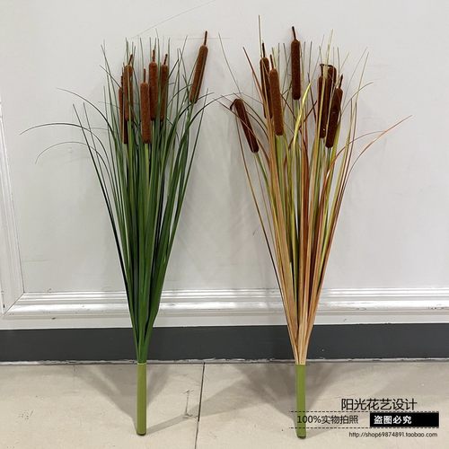 香蒲绿植水蚀蜡烛拍摄影视道具