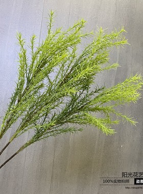 千层金黄金柳条简约轻奢仿真绿色傲梅叶雾松客插花叶子素材天门冬