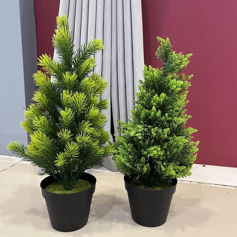 仿真小盆景松枝盆栽 柏树盆栽圆柏常青树圣诞树雪松树桌面小盆栽