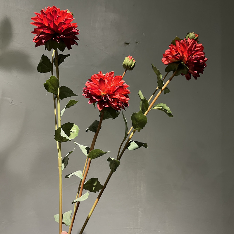 仿真花大丽菊单枝天竺菊高品质单头大丽花花艺造景装饰花摄影道具