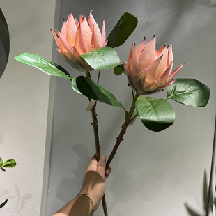 仿真大帝王花高档植毛霸王花南非国花样酒店板厅装饰花插花手捧花