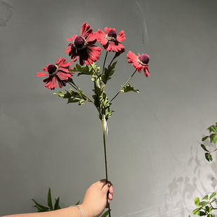 红色系插花素材红色堆芯花婚庆插花装饰造景小雏菊野花栅栏花摆设