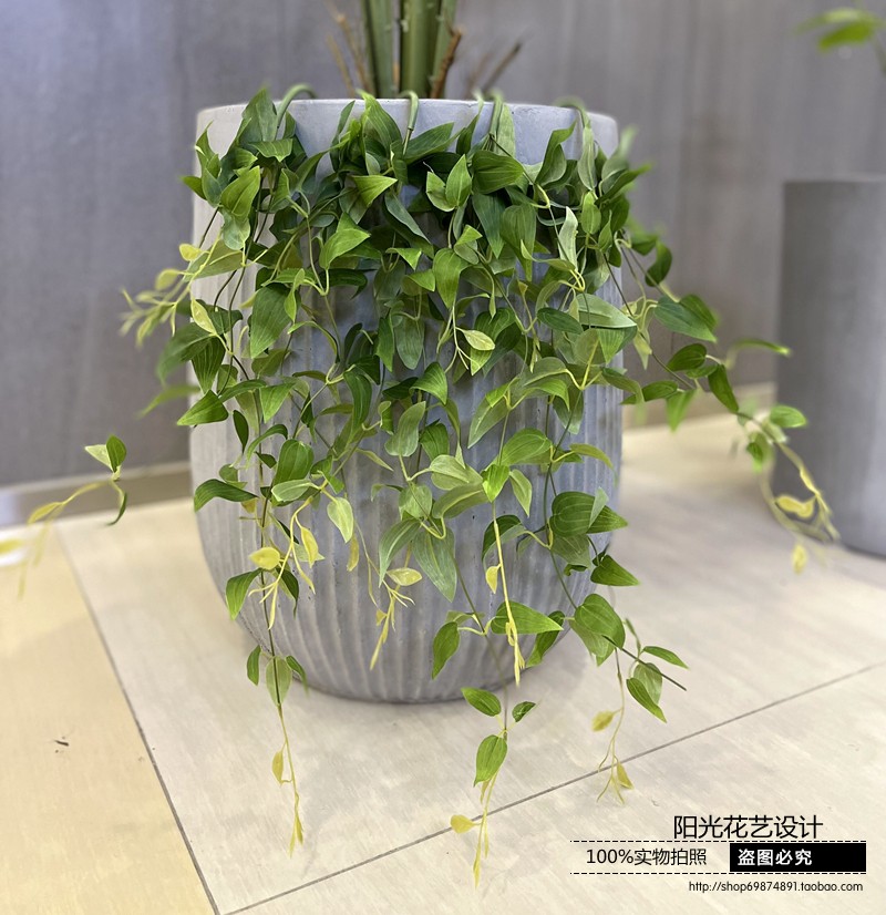 铁线莲仿真花壁挂藤条仿真金银花叶仿真铁线莲叶铁线莲藤家居装饰