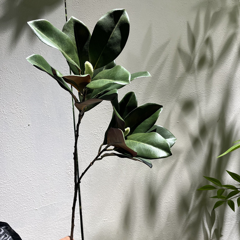 仿真月桂叶金桔叶单只绿叶豆瓣叶玉兰叶居家装饰摄影拍摄道具金桔