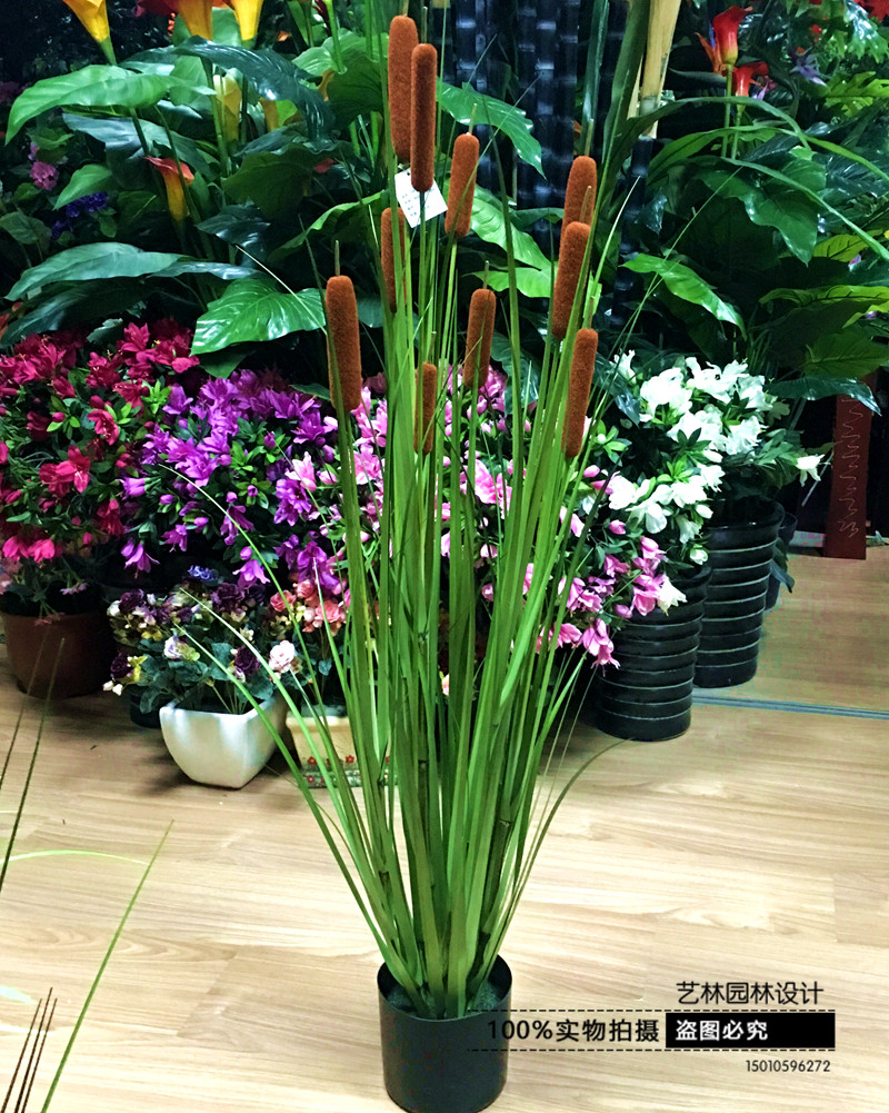 环保仿真水蜡烛水草仿真狗尾草蒲棒绿植水生植物落地盆栽装饰道具