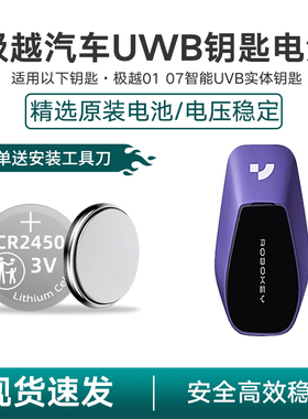 适用于极越汽车01 07实体钥匙UWB数字智能钥匙纽扣电池CR2450电子
