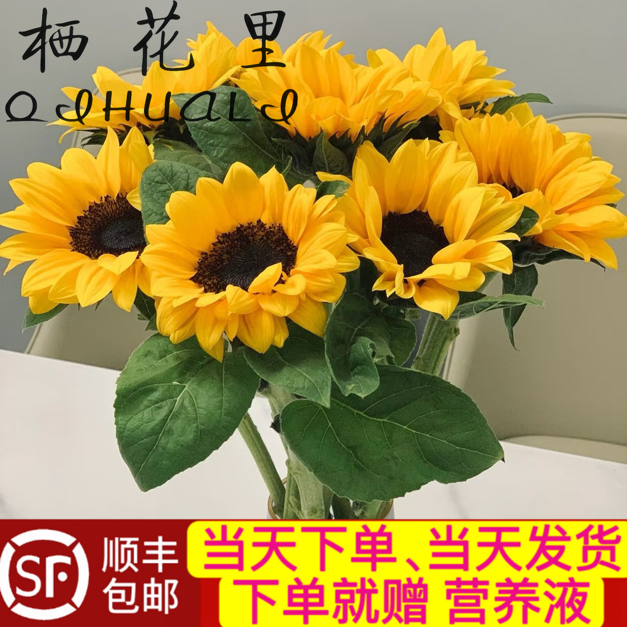 当日顺丰发货5支和3支黑心向日
