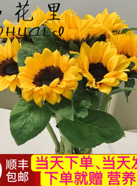 当日顺丰发货5支和3支黑心向日葵毕业季谢师礼云南鲜切花顺丰包邮