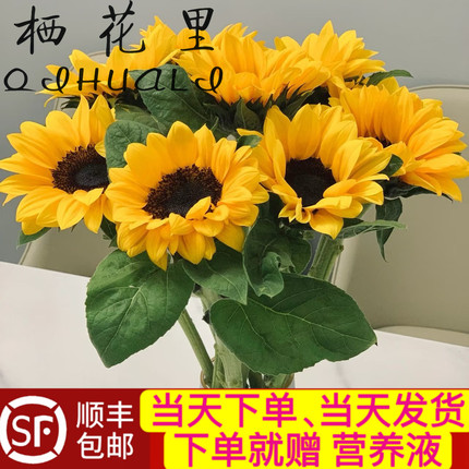 当日顺丰发货5支和3支黑心向日葵毕业季谢师礼云南鲜切花顺丰包邮