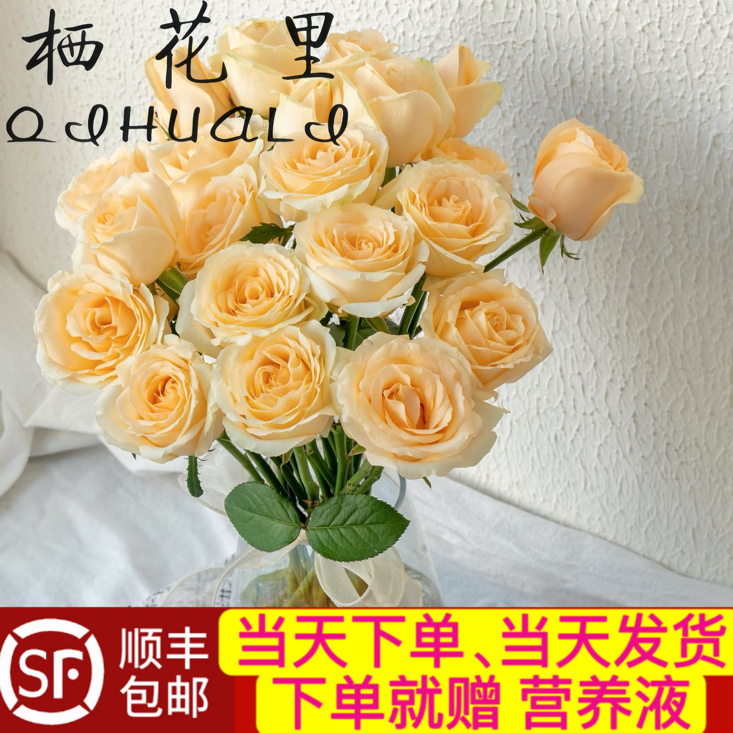 当天发货顺丰包邮七夕情人节鲜花