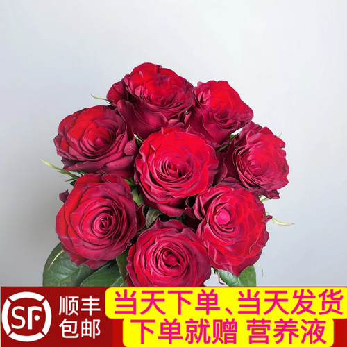 当天发货顺丰包邮七夕情人节鲜花
