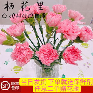 当日顺丰发货 10支粉色单头康乃馨鲜花顺丰包邮次日达送花上门