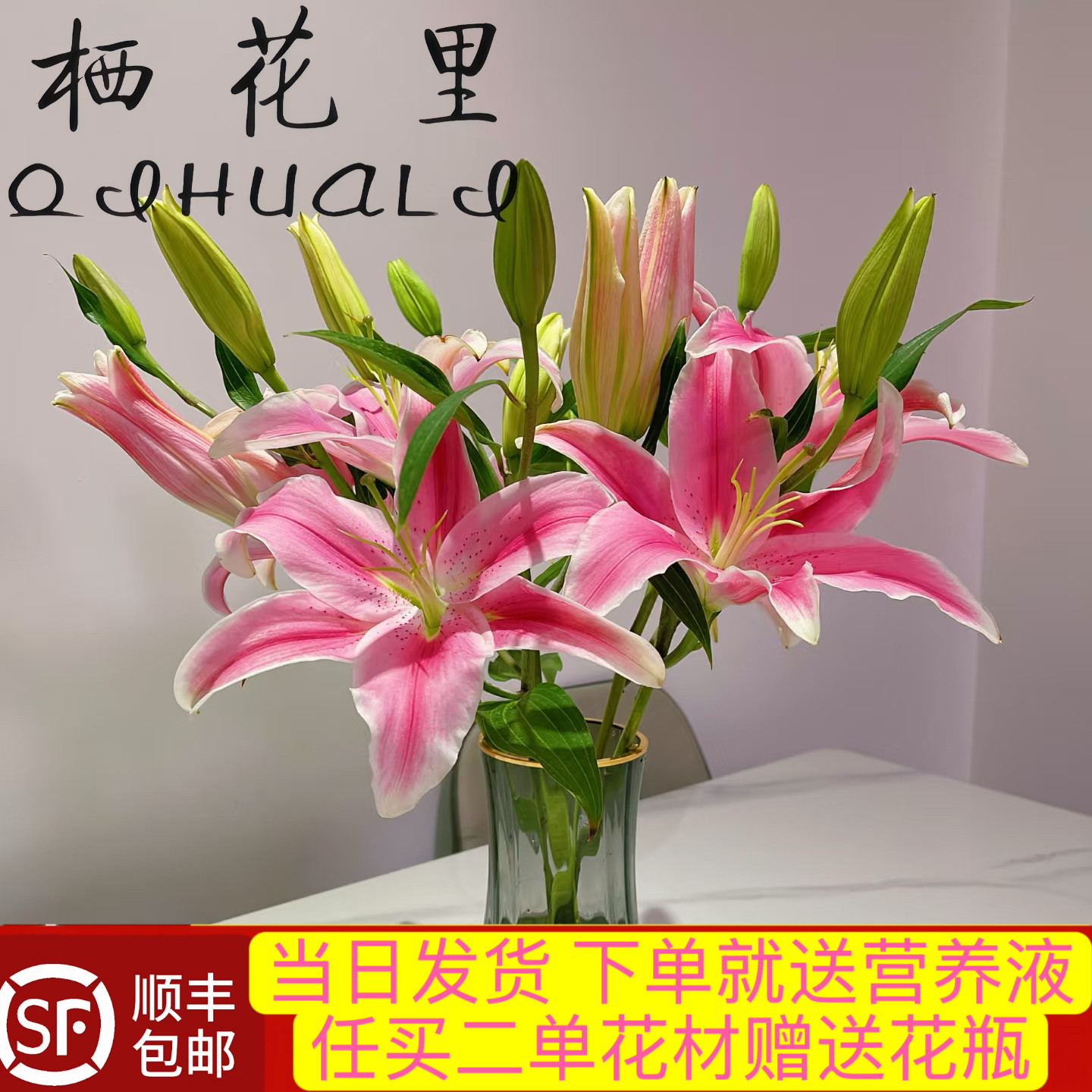 当日发货粉色香水百合（花苞发货）云南鲜切花顺丰包邮送货上门,鲜花速递/花卉仿真/绿植园艺,花材,淘宝优惠券,粉丝福利购,淘宝优惠卷