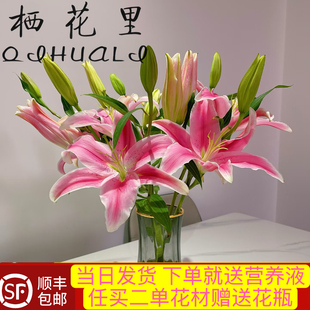 当日发货粉色香水百合（花苞发货）云南鲜切花顺丰包邮送货上门