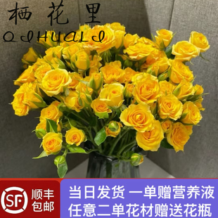 当日发货 梦幻芭比10支多头玫瑰系列鲜切花顺丰包邮送花上门