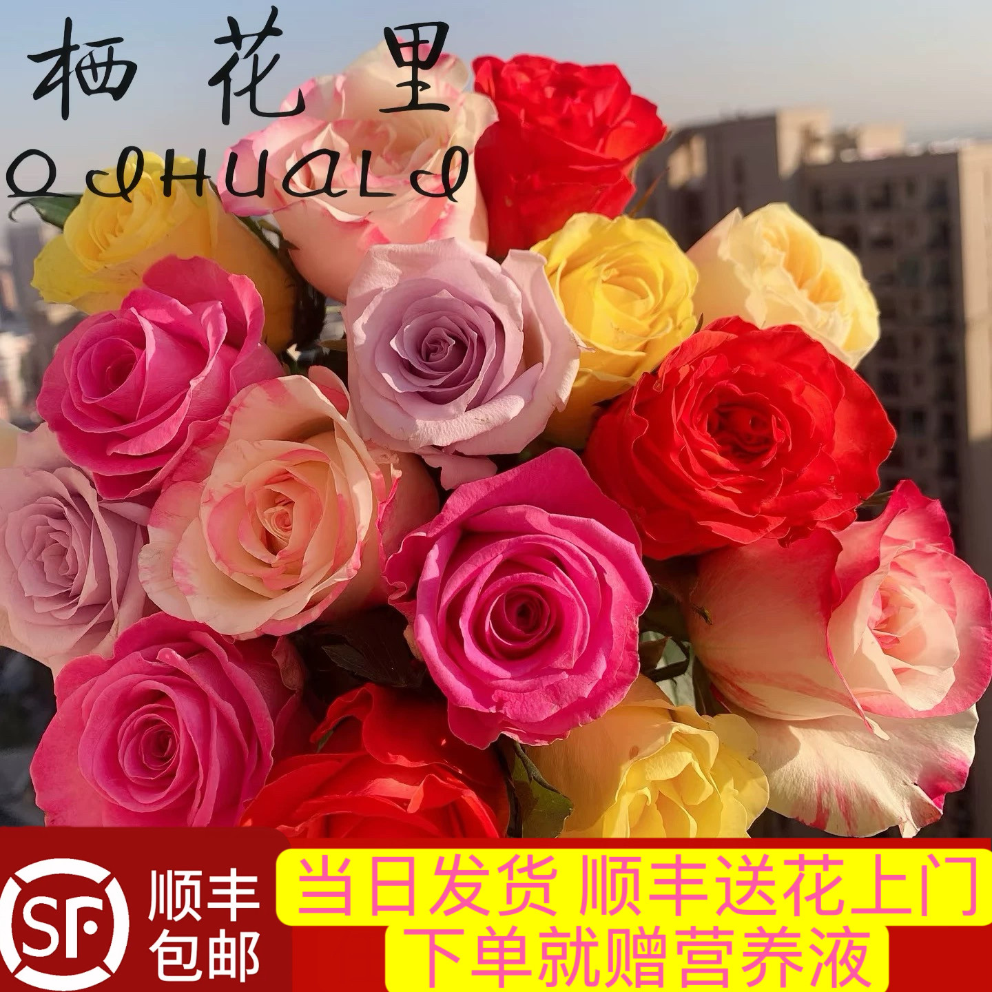 当日顺丰发货 10支混色单头玫瑰鲜切花鲜切花顺丰包邮送花上门