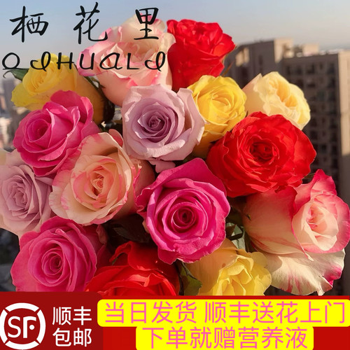 当日顺丰发货 10支混色单头玫瑰鲜切花鲜切花顺丰包邮送花上门