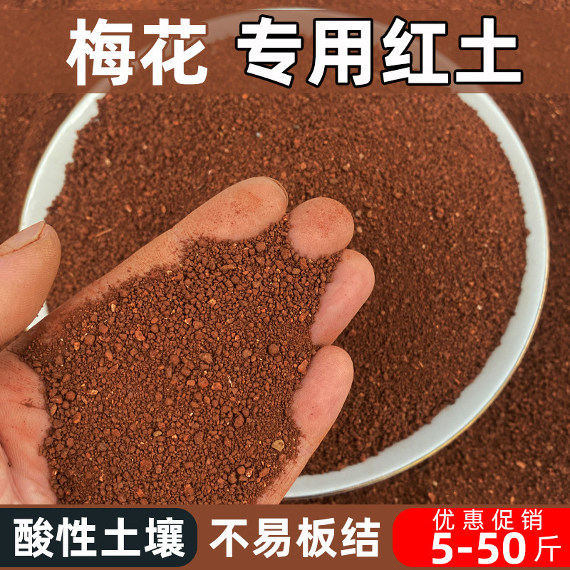 梅花专用土弱酸性盆栽红土颗粒
