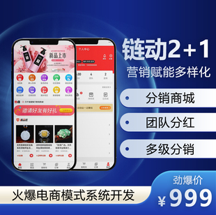 链动2+1小程序商城二级分销公众号团队极差分红系统源码开发定制