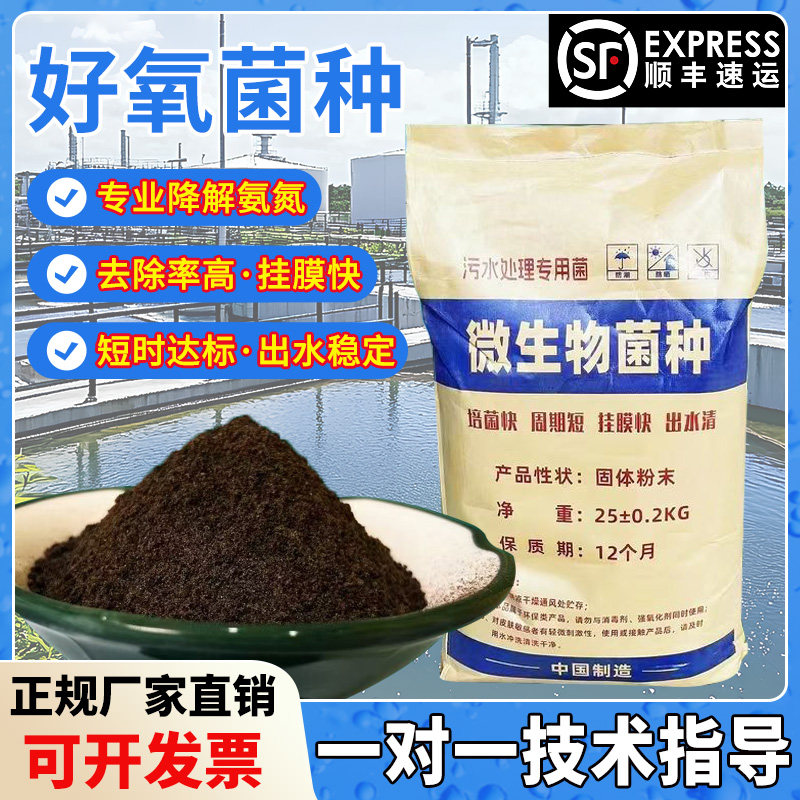 生化水处理专用菌种好氧菌