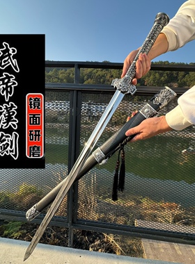 龙泉直播同款天问剑镜面手工锻打锰钢一体唐横刀剑收藏防身未开刃