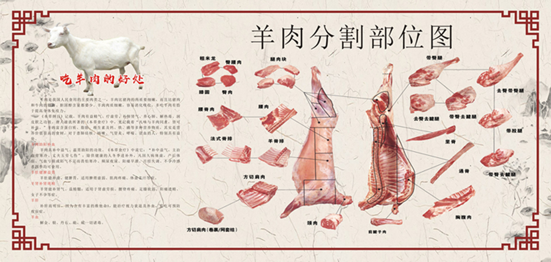 767海报印制展板写真喷绘挂图1749羊肉部位分割图解剖图分解图2-2