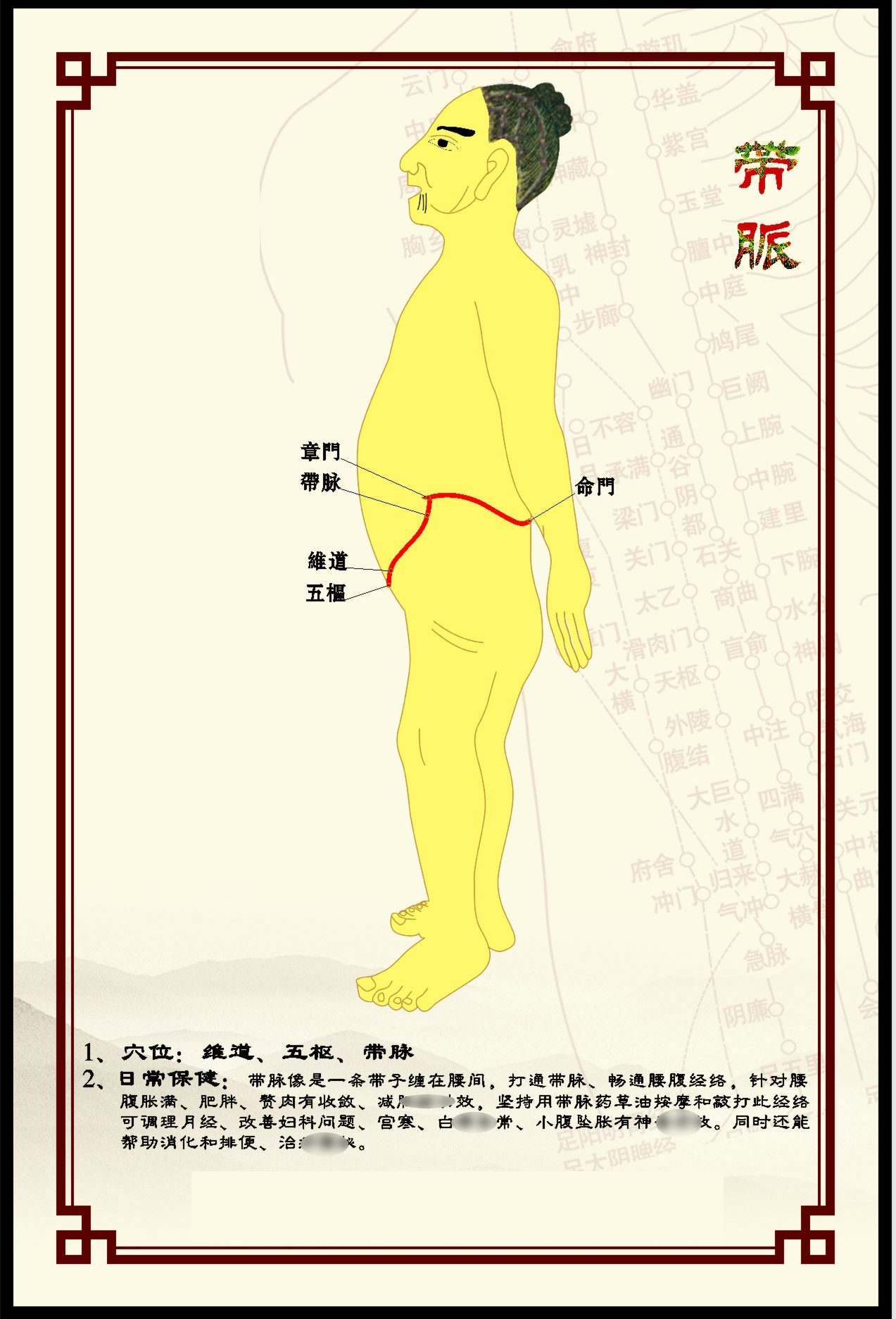 338居家海报展板喷绘贴纸图片37人体穴位经络图带脉