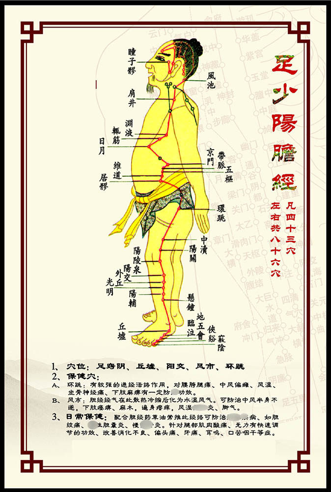 338居家海报展板喷绘贴纸图片37人体穴位经络图足少阳胆经