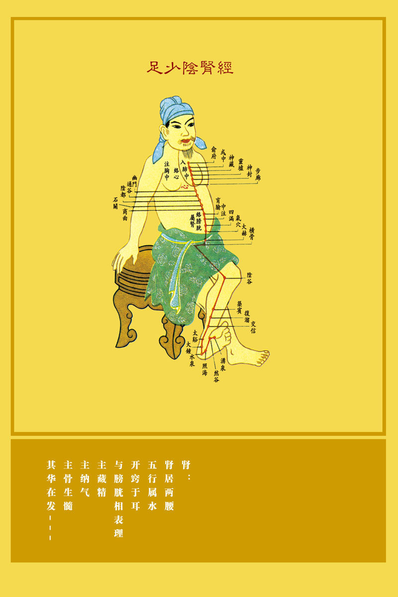 577居家海报展板贴纸素材58,中医精油针灸足少阴肾经
