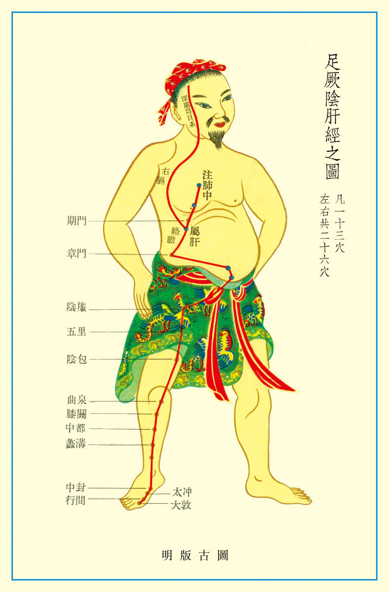 569居家海报展板喷绘贴纸图片239足厥阴肝经穴位图