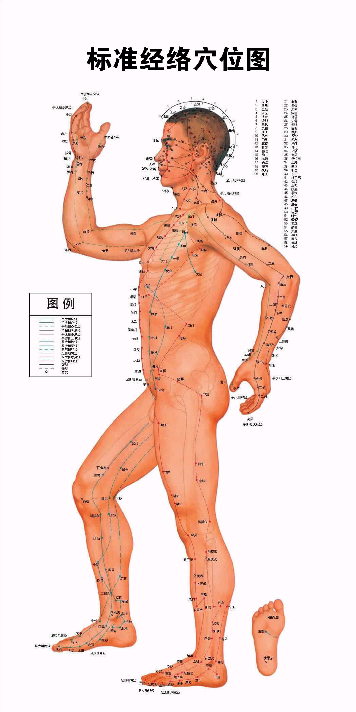 1417_2835竖版 竖屏