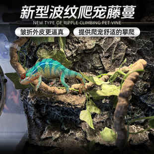 爬虫箱雨林造景藤蔓蜥蜴蛇变色龙爬宠攀爬藤条葛藤仿真藤条栖息藤