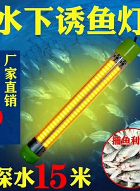 100W12V冰钓翘嘴海钓集鱼灯筏钓灯水下诱鱼灯垂钓夜钓灯厂家直销