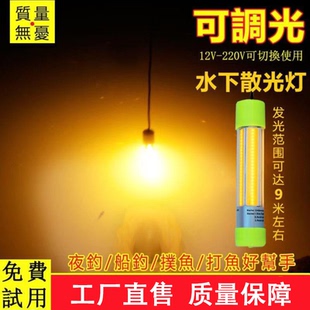 100W12V黄光水下诱鱼灯夜钓野钓垂钓筏钓深水集鱼引鱼灯厂家直销