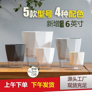 兰花盆塑料透明懒人自动吸水花盆水培水养绿植白色储水盆免浇水