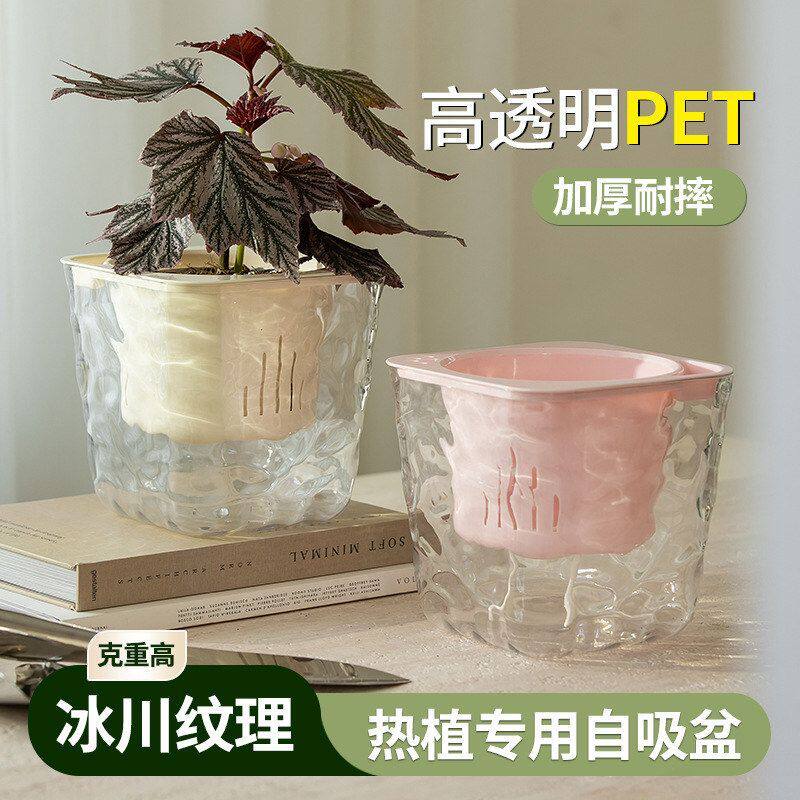 PET高透加厚正方形懒人自吸水水
