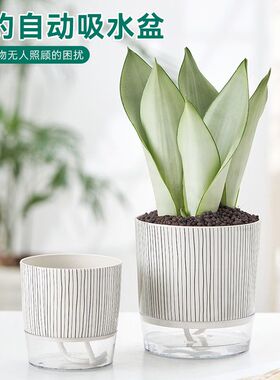 透明塑料懒人花盆创意简约自吸水