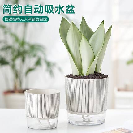 透明塑料懒人花盆创意简约自吸水棉绳加厚储水盆绿萝兰花盆