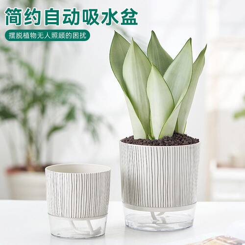 透明塑料懒人花盆创意简约自吸水