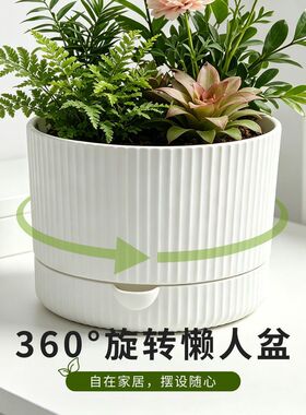 高颜值旋转懒人自动吸水储水多