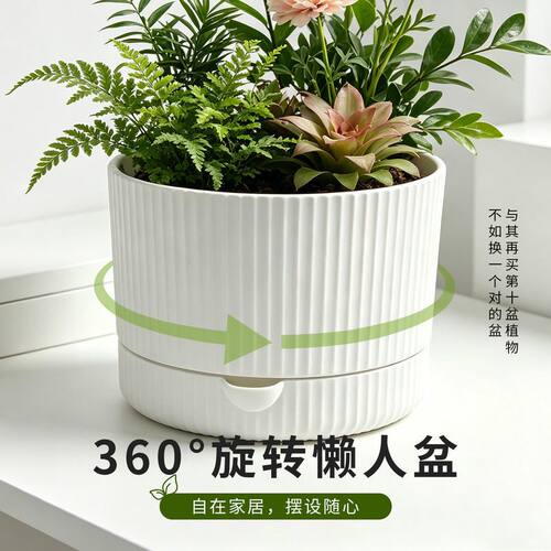 高颜值旋转懒人自动吸水储水多