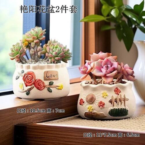 网红艳阳多肉花盆粗陶透气花盆室内肉肉大小口径盆批发摆地摊清仓