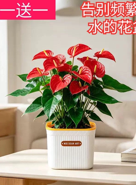自吸水懒人花盆加厚树脂