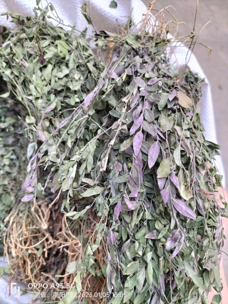 包邮干货勒马回来马回瓜子金(赖马红来马回)100克包邮