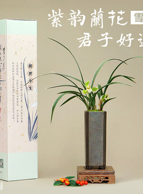 沐兰工坊雪山国兰礼品精装款