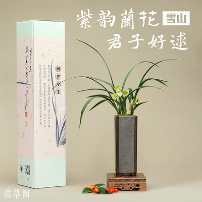 沐兰工坊雪山国兰礼品精装款