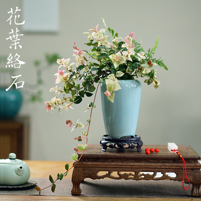 花叶络石窗台盆栽四季缤纷如画