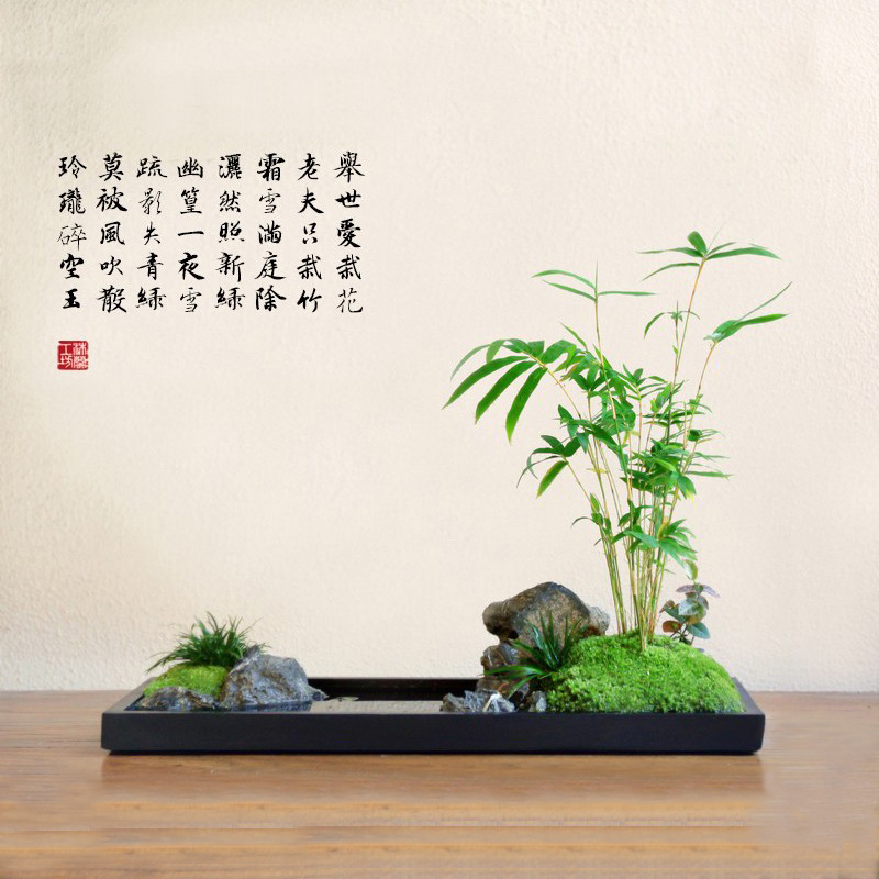 山水米竹禅意盆栽，文化之选