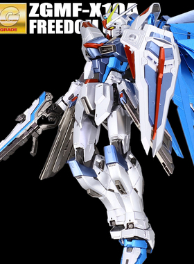 万代金属色MG自由2.0 Freedom SEED敢达机动战士高达千手拼装模型