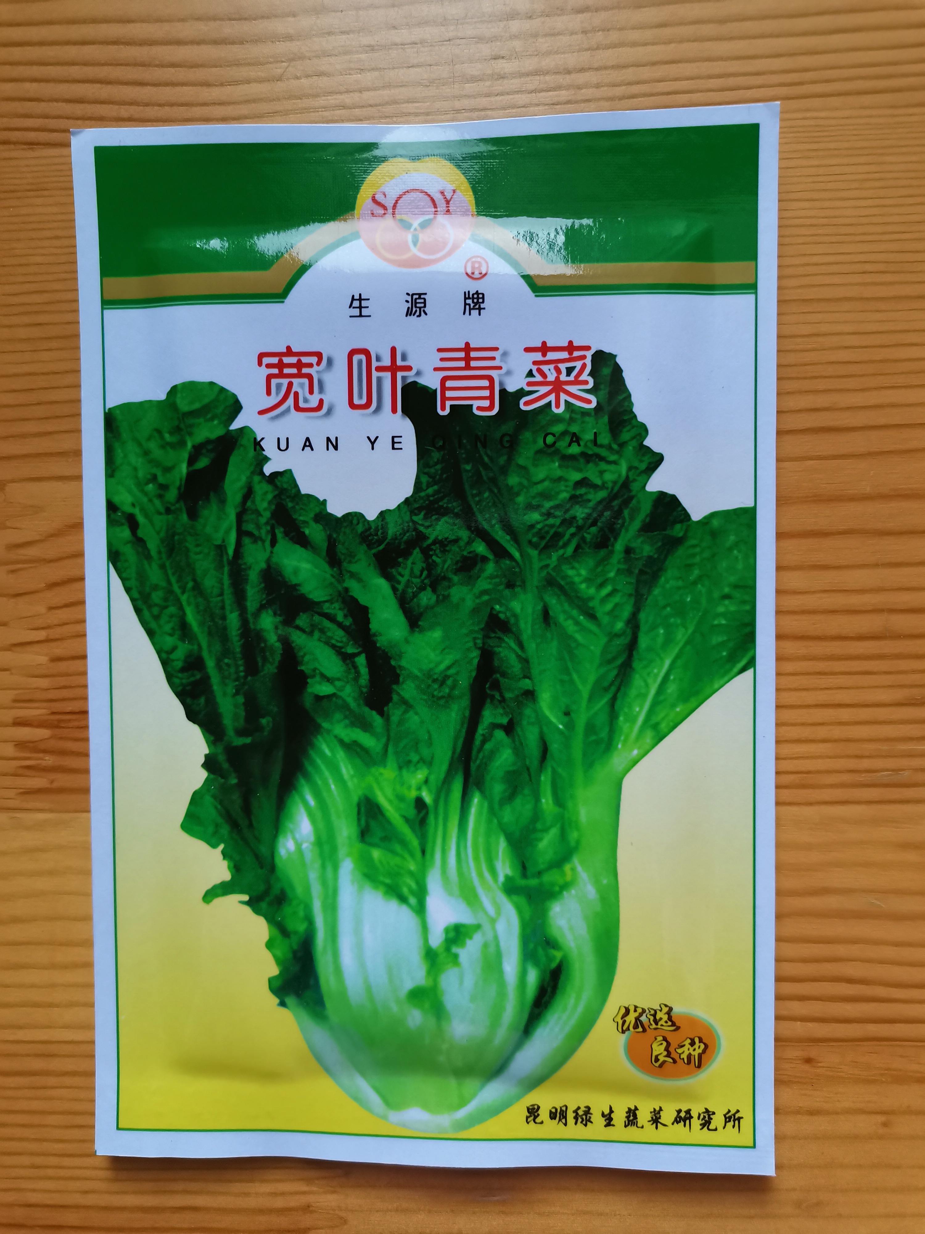 云南蔬菜种子包邮宽叶苦菜20克芥菜籽大青菜昆明老品种菜农大田种